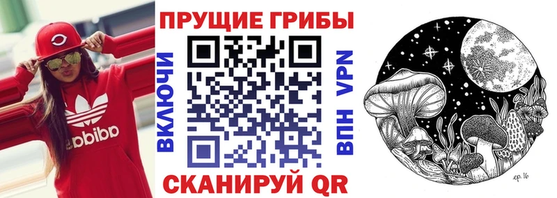 Псилоцибиновые грибы Psilocybine cubensis  где купить наркотик  Армавир 