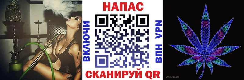 магазин    Армавир  Марихуана план 